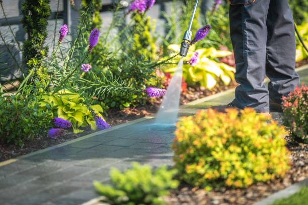 Best Sidewalk and Walkway Cleaning  in Newaygo, MI