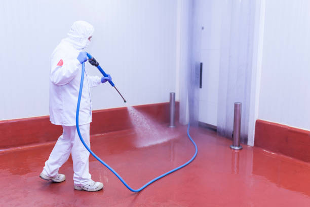 Best Pre-Holiday Cleaning  in Newaygo, MI