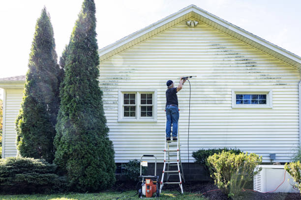 Animal Enclosure Cleaning in Newaygo, MI